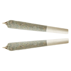 XPLOR - Sativa Pre-roll - 1x1g
