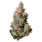 Tribal - Triple Burger - Indica - 3.5g